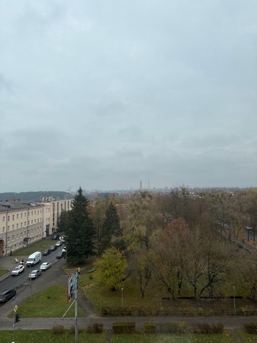 Гродно из окна